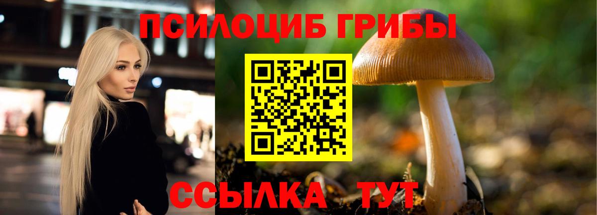 Псилоцибиновые грибы мухоморы  Вход с VPN  Урус-Мартан 