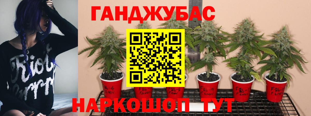 Бошки Шишки гибрид Урус-Мартан